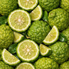 Calabrian bergamot