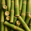 Bamboo