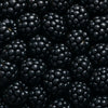 Blackberry