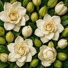 Gardenia