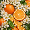 Mediterranean Neroli